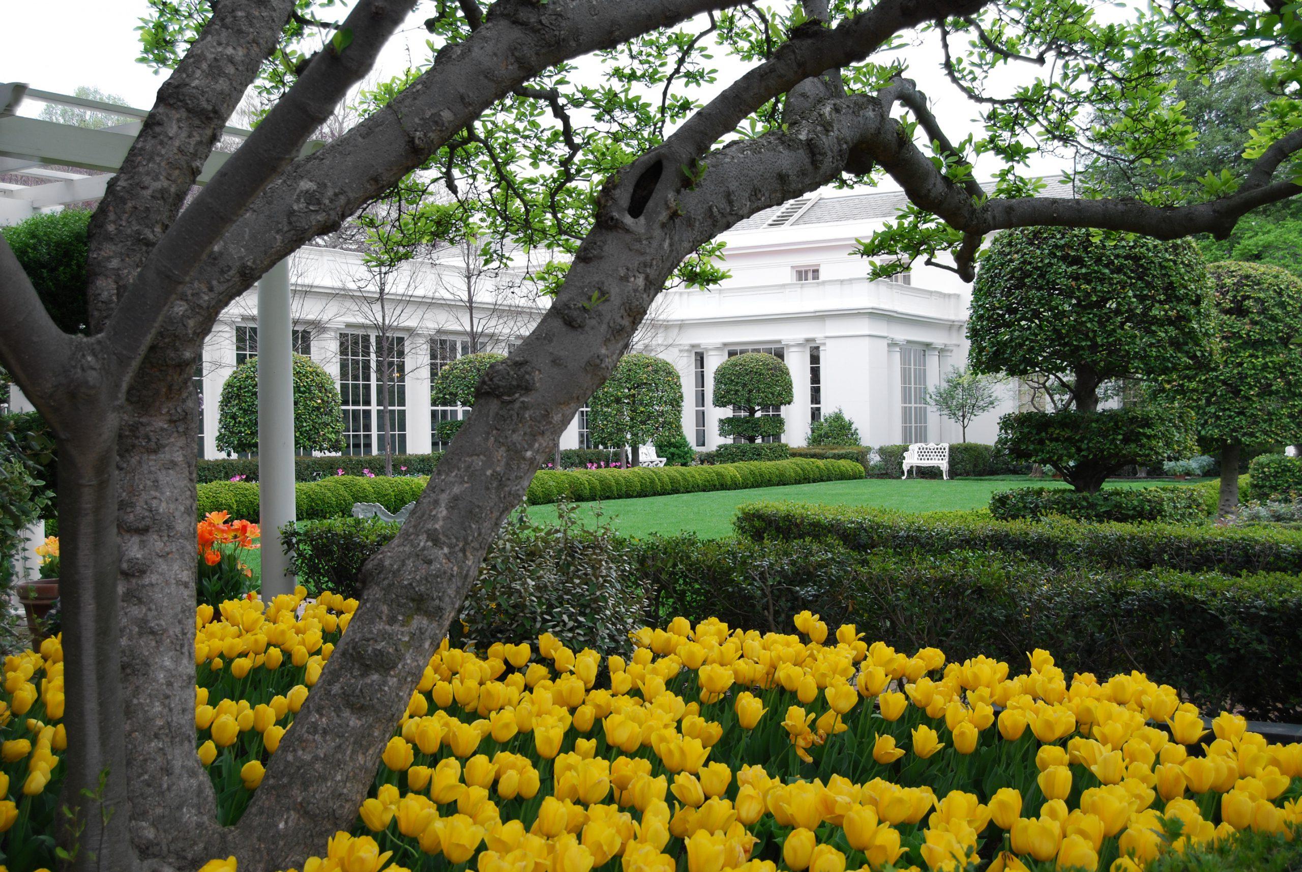 White House Oral History: Peter Wehner | The Trinity Forum
