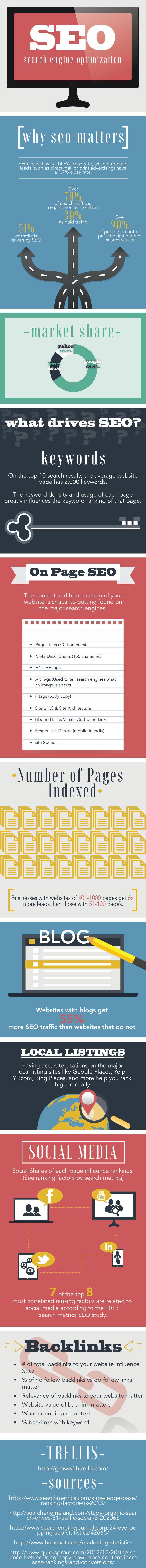 Why SEO Matters [Infographic] | Trellis Inc.