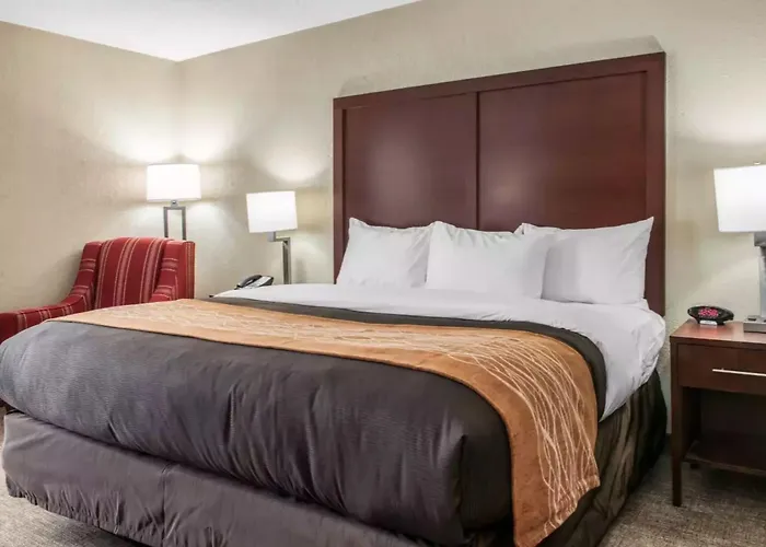 Discover the Best Hotels in Blue Ash, Ohio for Your Next Visit