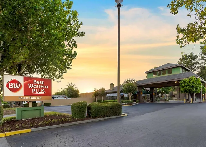 Discover the Best Hotels in Gilroy for Your Next Getaway