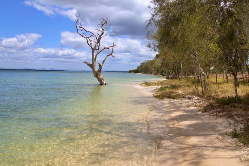 bribie island