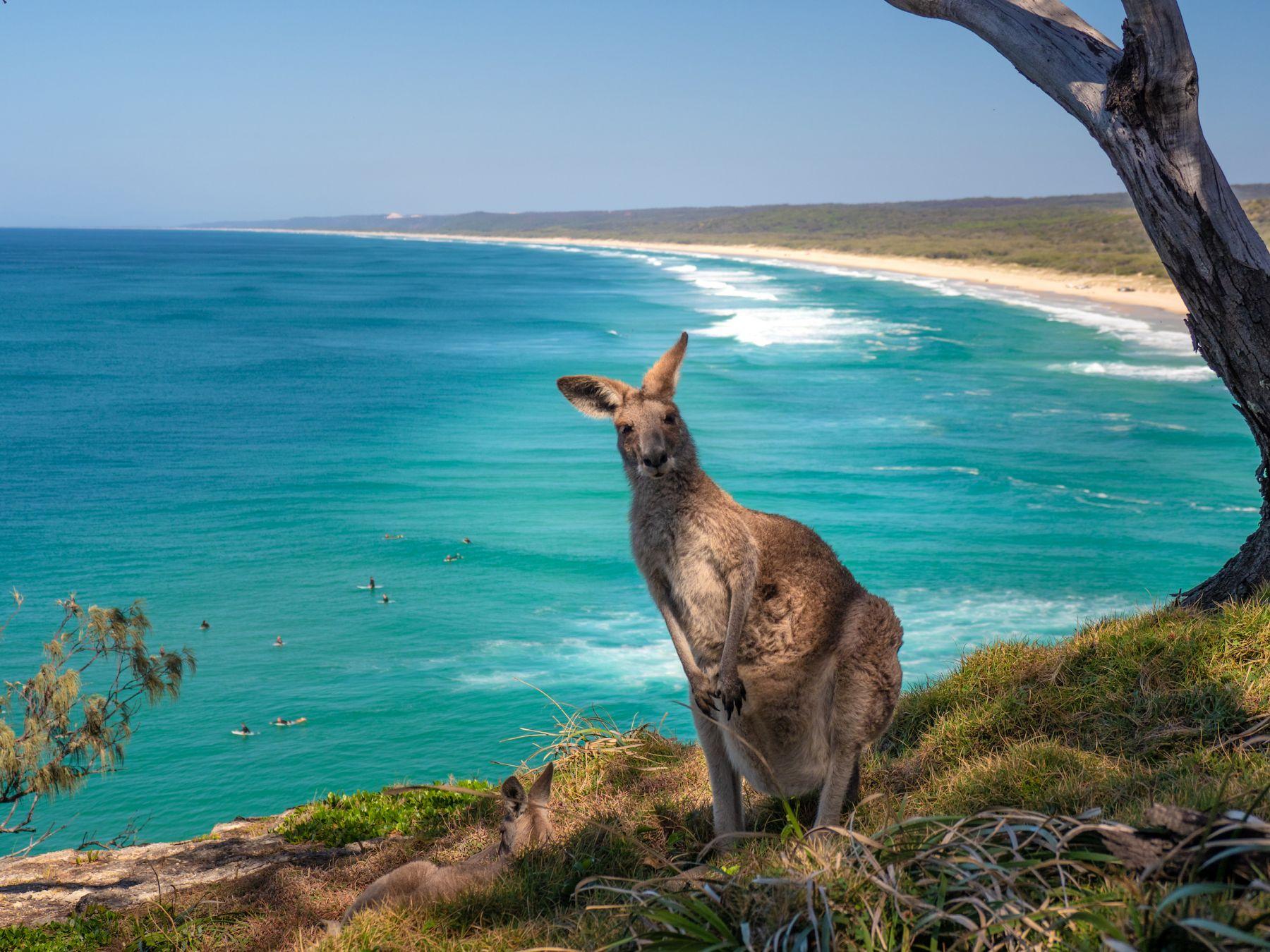 Queensland: wild and sustainable