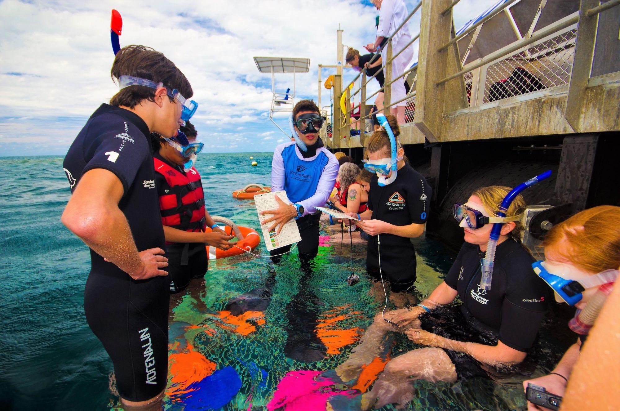 Partecipate a uno snorkelling safari assieme a degli esperti e diventate scienziati per un giorno
